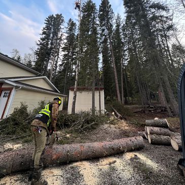 FireSmart vegetation management crew creating defensible space around a property in Calgary