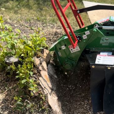 Stump grinding services by Nootka Tree Care, safely removing tree stumps in Calgary and Cochrane