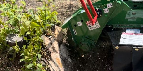 Nootka Tree Care stump grinder in action removing a tree stump in Calgary