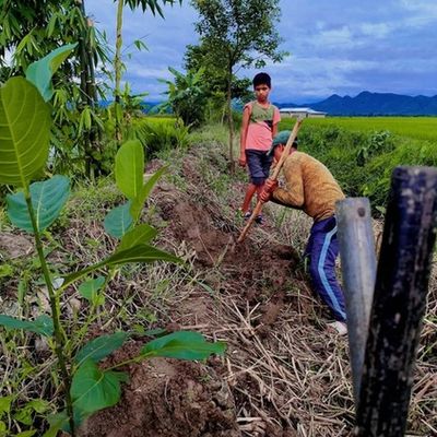 Anish Tree Planting in India.