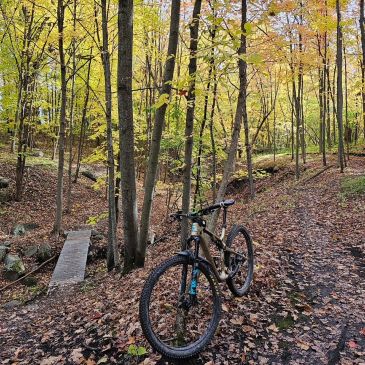 Mountain bike parked on a forest trail in autumn.