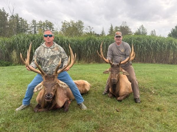 Two men posing with elk they hunted.