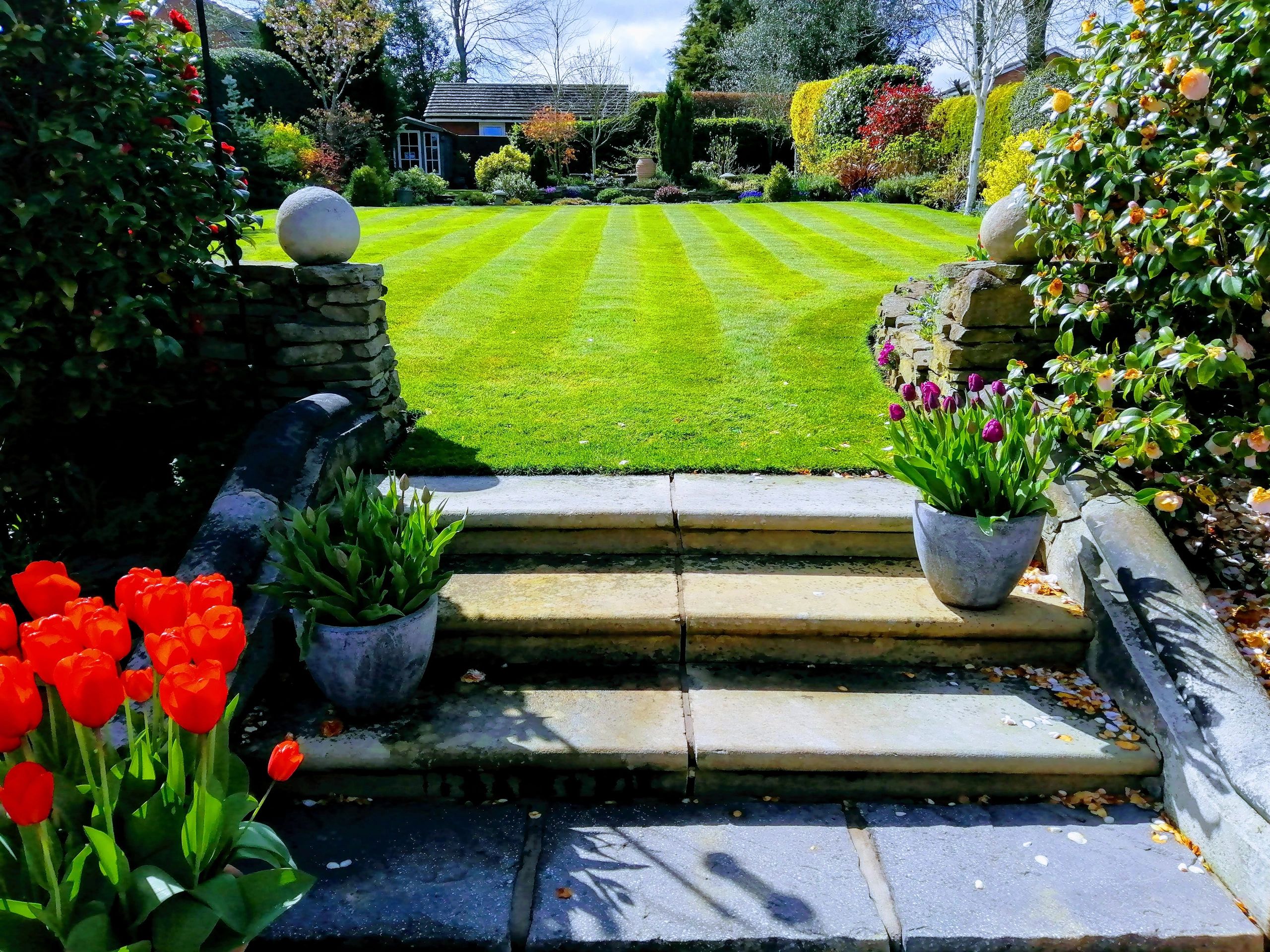 Lawn Treatment and Mowing - Go Green Lawn Care