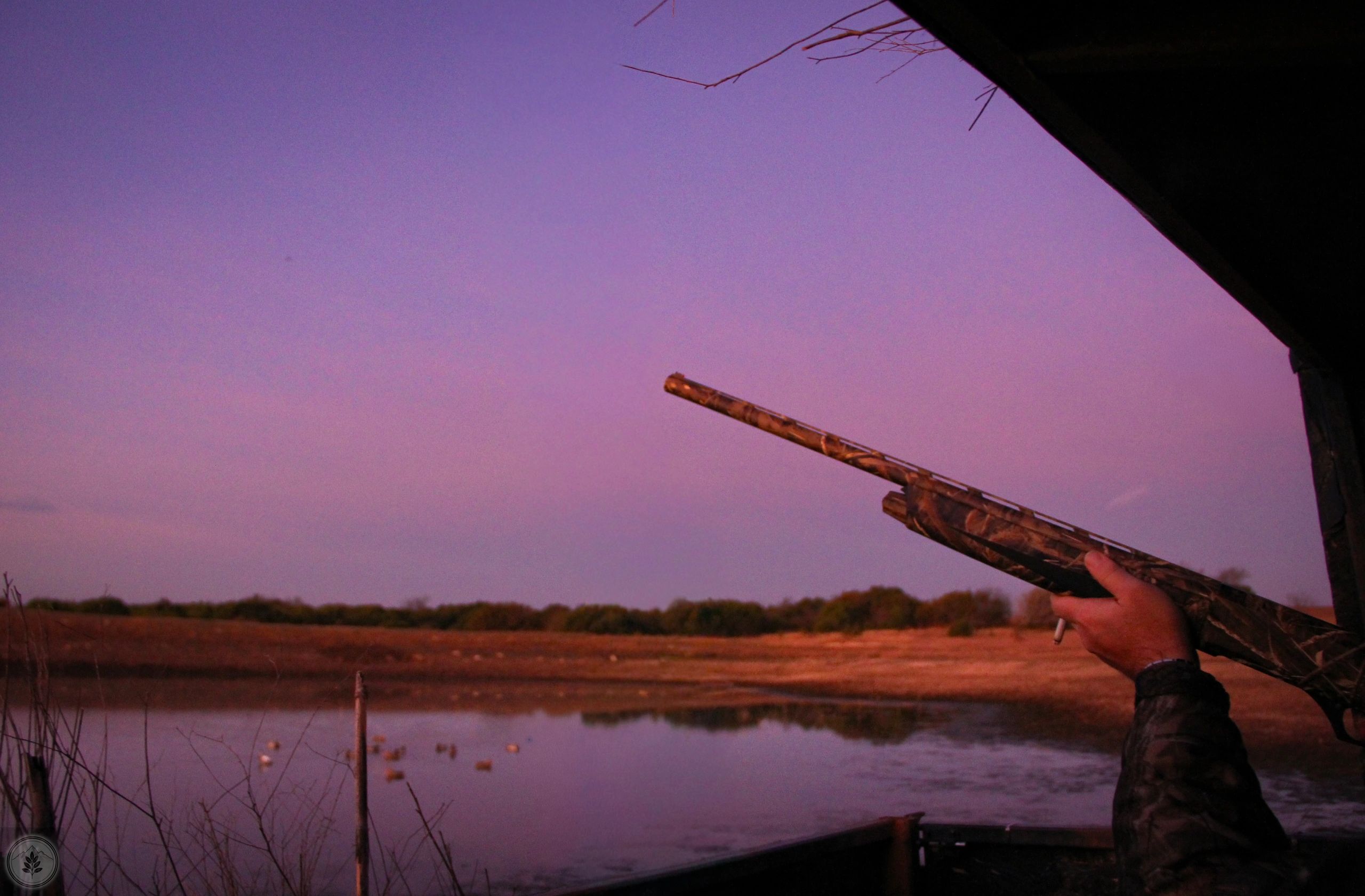 Hunter aiming a camouflaged shotgun at dusk near a pond.
