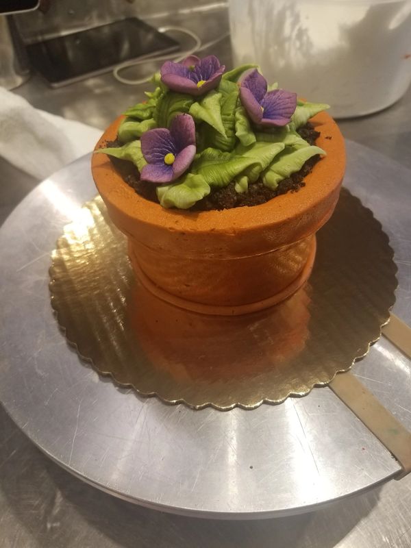 Potted plant cake