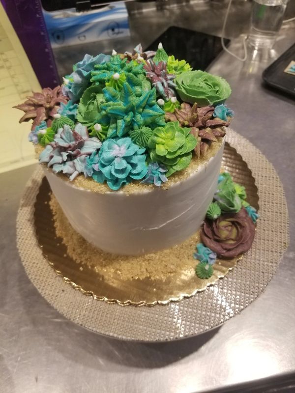 Succulent cake