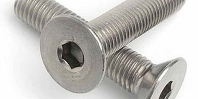 Two stainless steel flat head screws with hex socket drives.