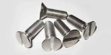 A group of five silver flat-head slotted screws on a white surface.