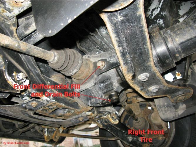 Front Differential Fill and Drain Bolts -