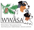 Western Washington Australian Shepherd Club