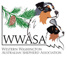Western Washington Australian Shepherd Club