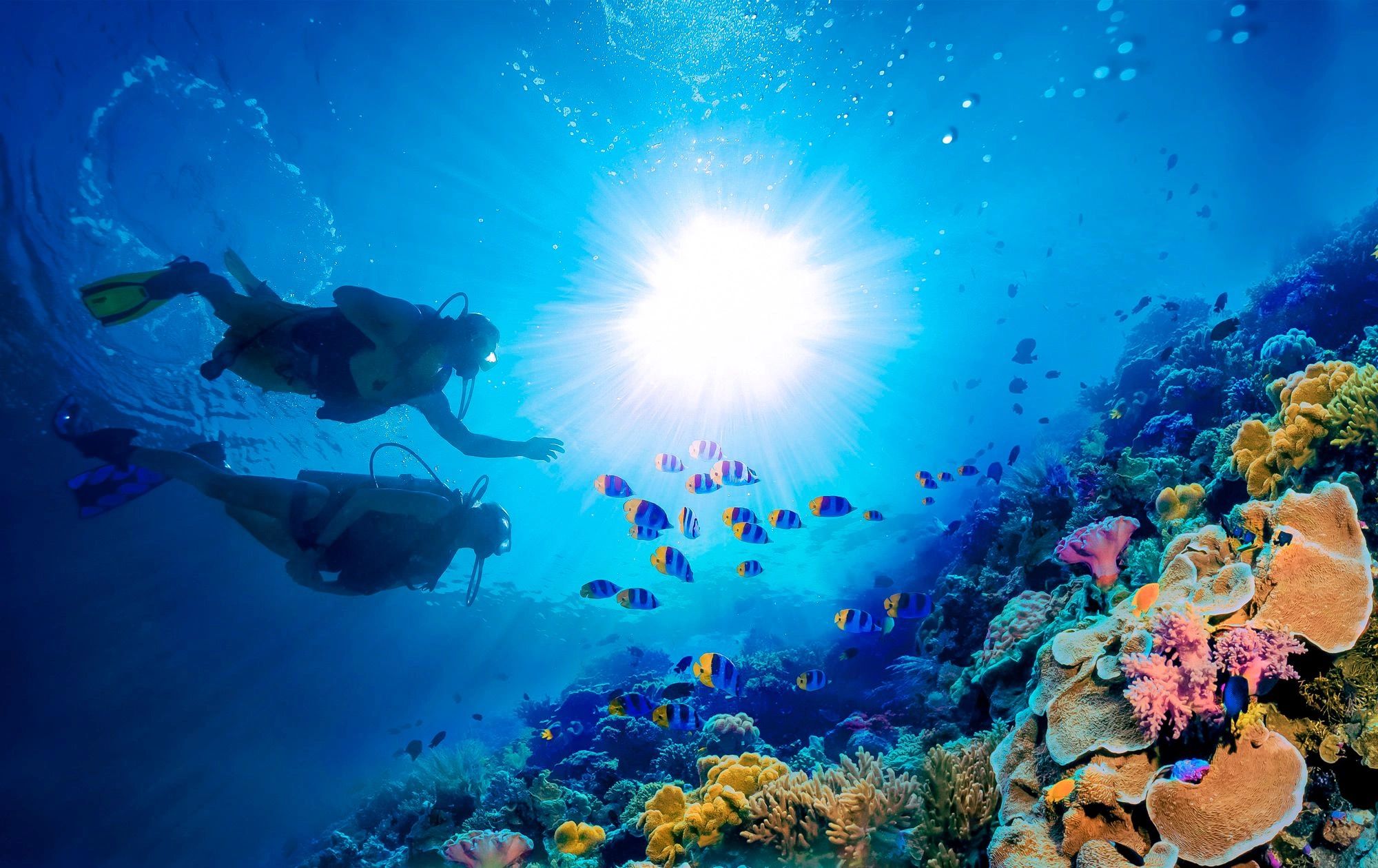 Two scuba divers explore a vibrant coral reef filled with colorful fish under bright sunlight.