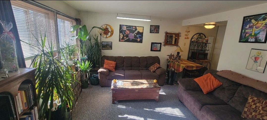 Sunlit living room with plants, cozy couches, and colorful wall art.