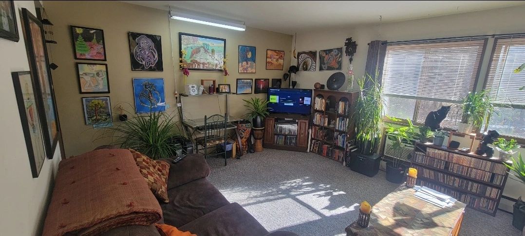 Cozy living room with plants, artwork, and a cat on the windowsill.