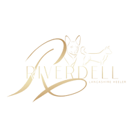 riverdell-lh.com