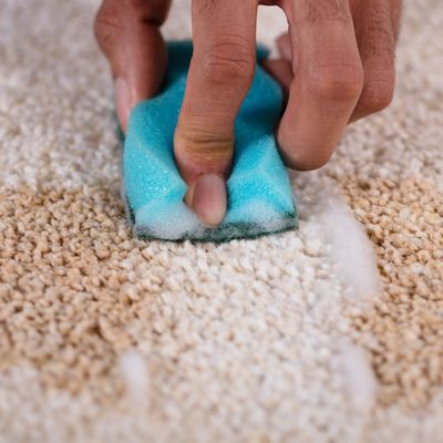 Stained carpet being cleaned by hand