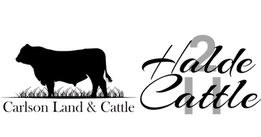 Carlson and Halde Cattle