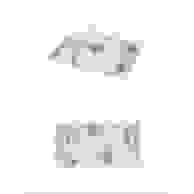 image290