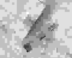 image291