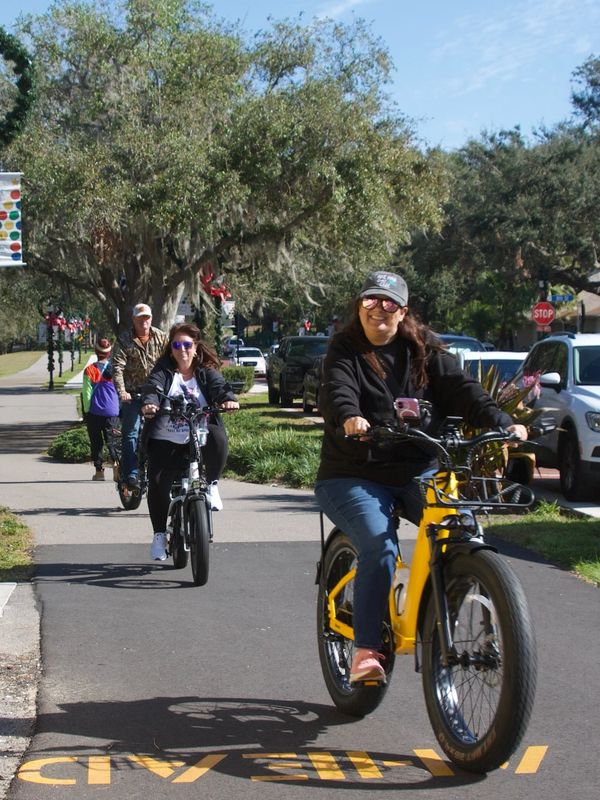 electric bicycle florida Blaupunkt Gators Foldable eBike Class II w/ Power Assist Throttle Say goodbye to flats with our 20 Understanding Florida's E-Bike Laws 
