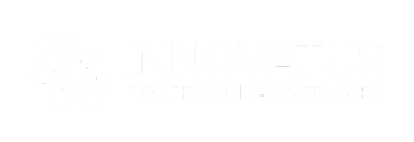 innovatus.au