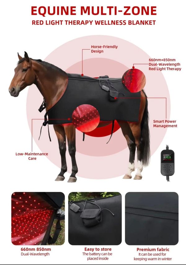 Equine multi-zone red light therapy blanket for horses.