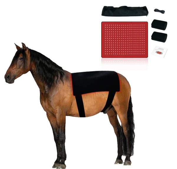 A horse wearing a black therapeutic wrap on its back.