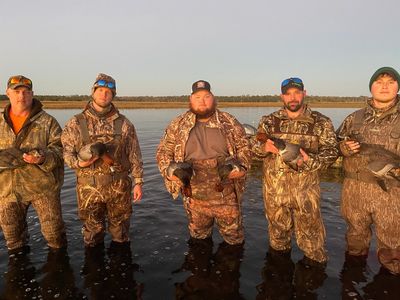 Coastal Diver Ducks (Redheads)