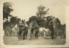 Elephants heading out on Shikar