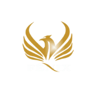 fenixmotorhome.com