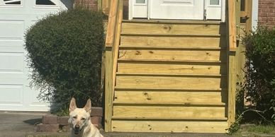 Dog sitting on grass in front of house steps.