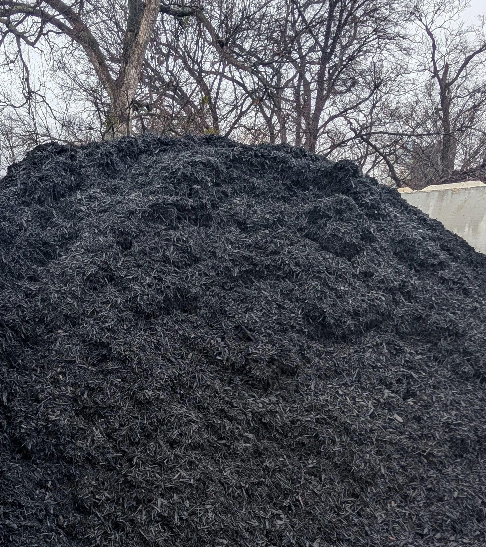 Close picture of compost