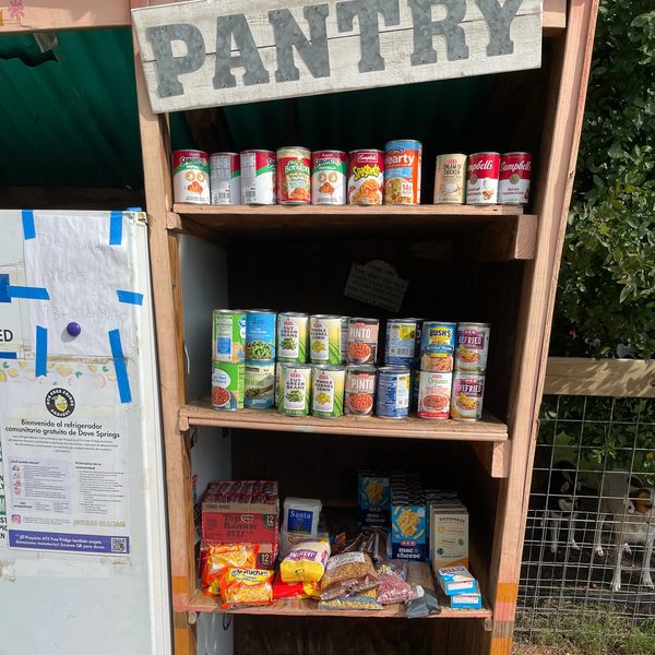 Wooden pantry shelf stocked with canned goods and dry foods outdoors.