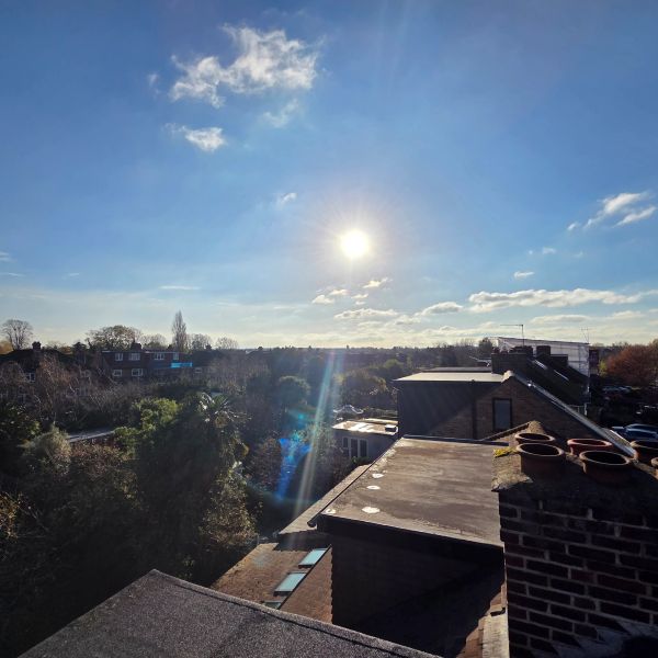Bright sun over suburban rooftops and trees.