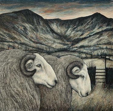 Welsh Mountain Rams, 46 x 46 cm approx.