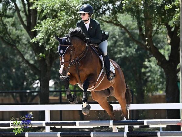 Equestrian rider and horse mid-jump over hurdles in an outdoor competition.