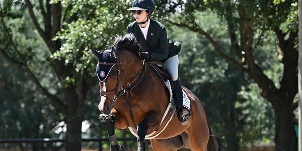 Equestrian rider in formal attire jumping a horse over an obstacle.