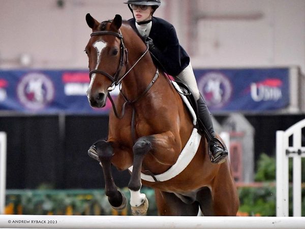 A rider on a brown horse jumping over a hurdle indoors.