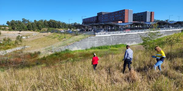 Three consultants on rehabilitated land infront of Maitland Private Hospital. 