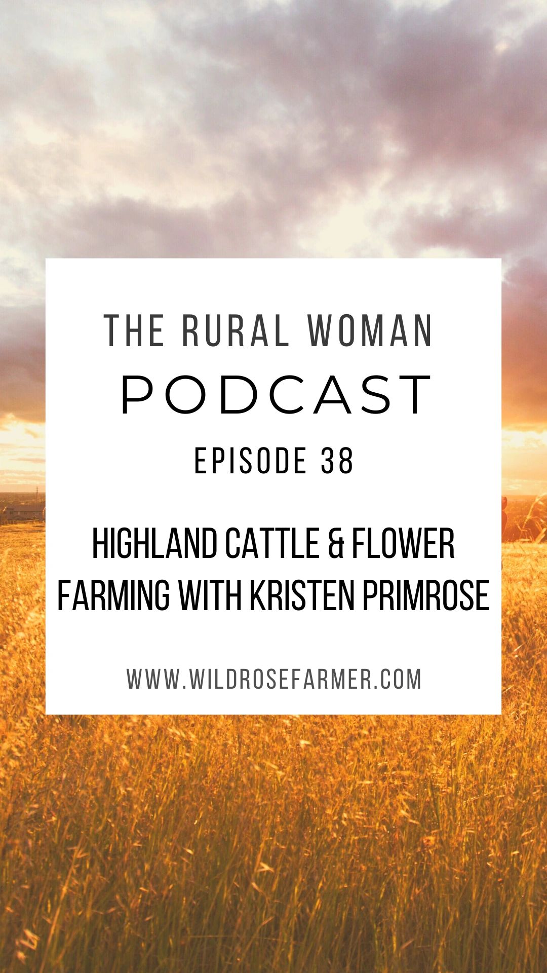 Primrose Lane Farm Flower Farm Flowers Flower Delivery