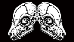 Unorthodox - Oddities, Art