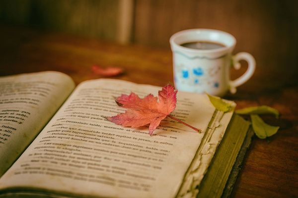 Open book with leaf and coffee