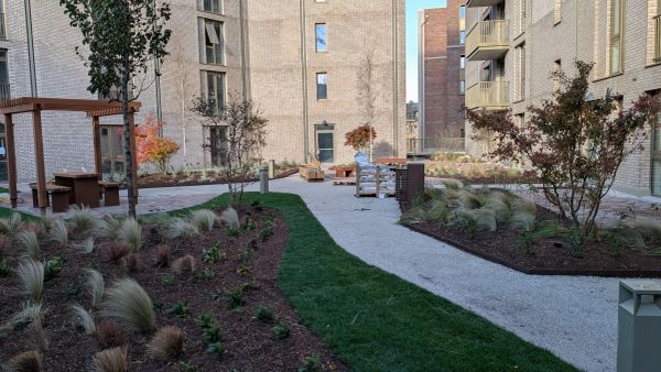 A landscaped courtyard with pathways, plants, and seating areas between buildings.