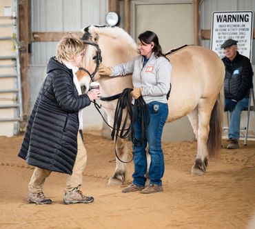 Two women interact with a horse in an indoor arena.