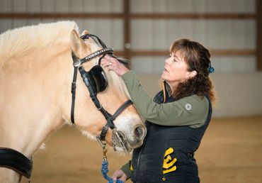 A woman gently touching a horse's face indoors.