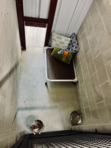 Basic Indoor/Outdoor