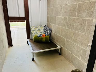 Basic Indoor/outdoor