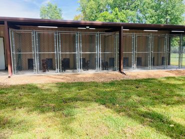 Outdoor patio area for the indoor/outdoor kennels