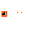 InVision