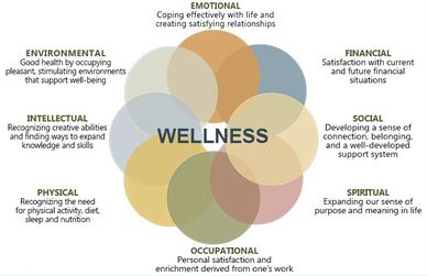 The eight (8) facets of wellness